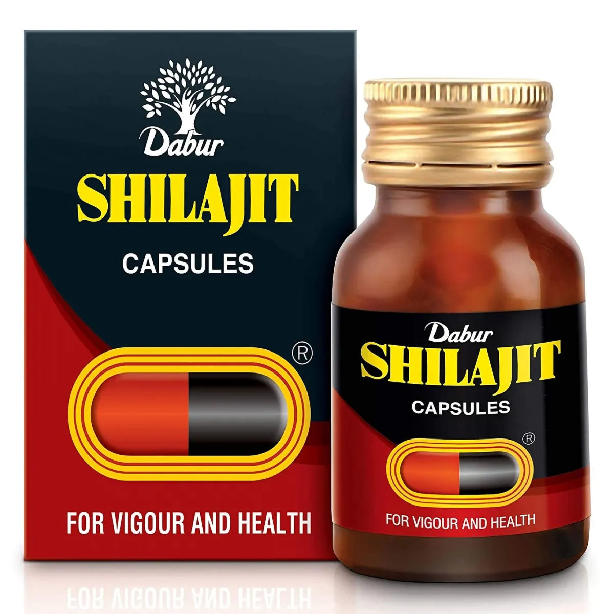 Dabur Shilajit Capsules